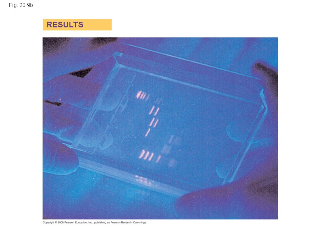 Fig. 20-9b RESULTS